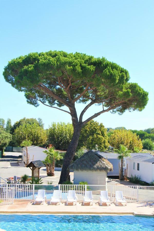 La Pinede Camping Grimaud Exterior photo